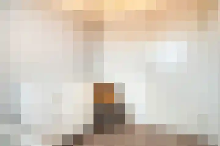 Roelofsbrink 24 Den Ham thumbnail 32
