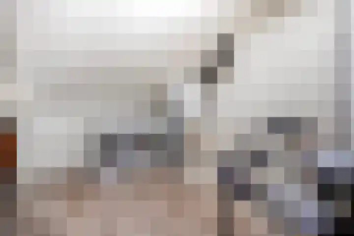 Roelofsbrink 24 Den Ham thumbnail 38