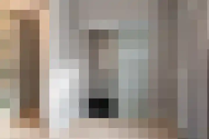 Roelofsbrink 24 Den Ham thumbnail 42