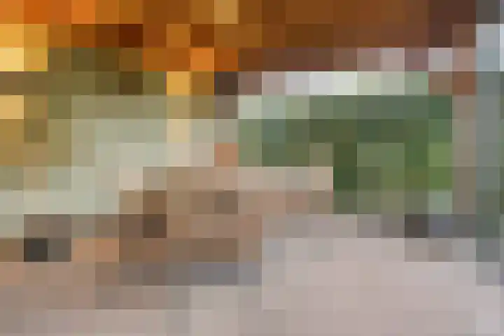 Roelofsbrink 24 Den Ham thumbnail 43