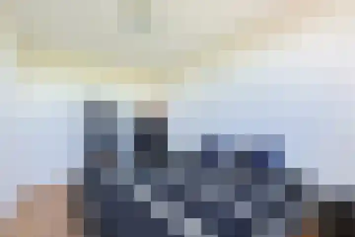 Roelofsbrink 24 Den Ham thumbnail 49