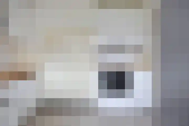 Roelofspad 16 Eindhoven thumbnail 21
