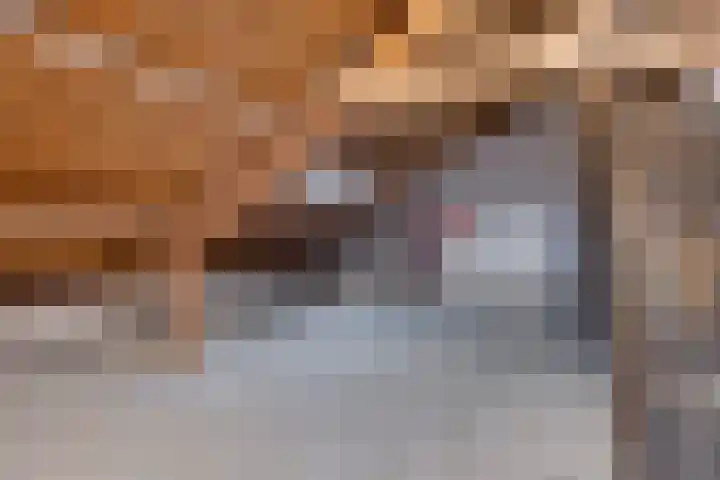 Roelofspad 16 Eindhoven thumbnail 28
