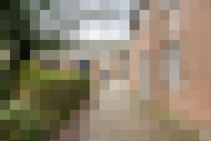Roelofspad 16 Eindhoven thumbnail 36