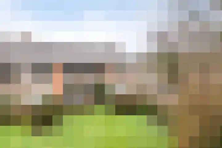 Roelofspad 16 Eindhoven thumbnail 37