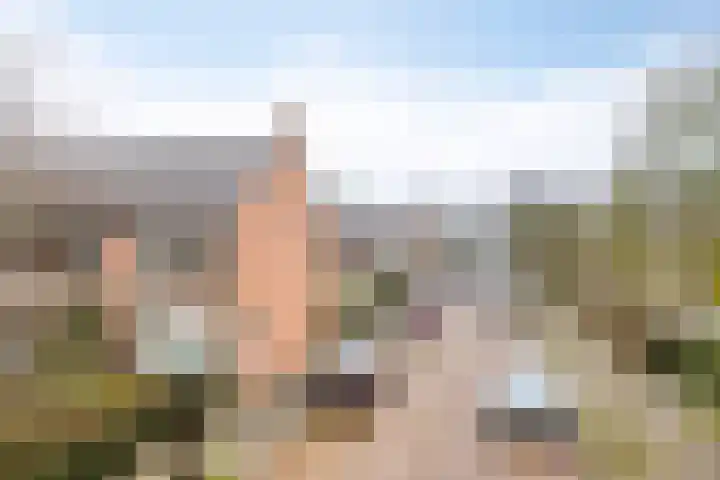 Roelofspad 16 Eindhoven thumbnail 38