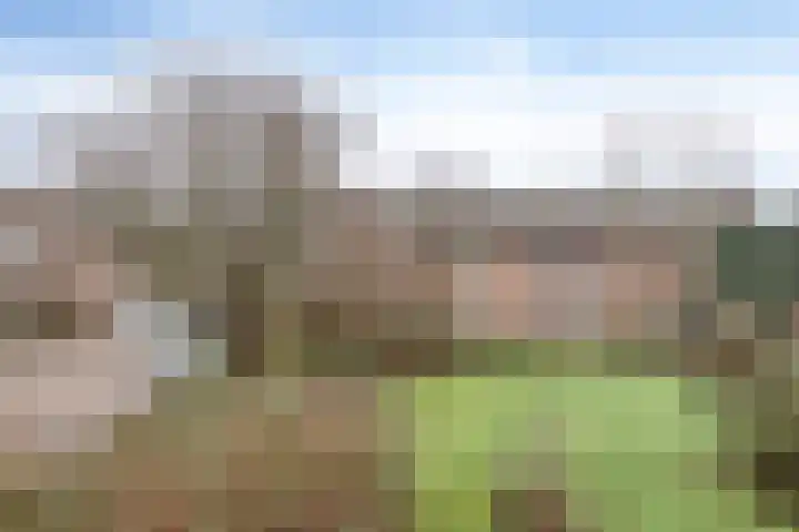 Roelofspad 16 Eindhoven thumbnail 40