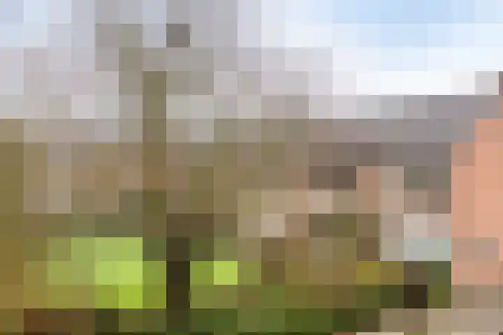 Roelofspad 16 Eindhoven thumbnail 41