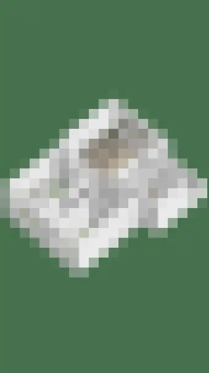 Roelofspad 16 Eindhoven thumbnail 44