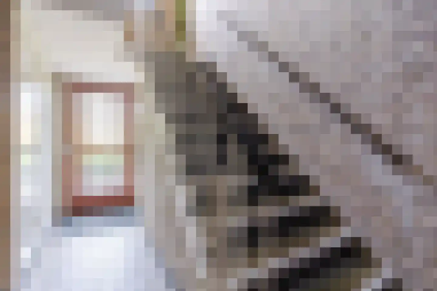 Roelofspad 8 Eindhoven thumbnail 10