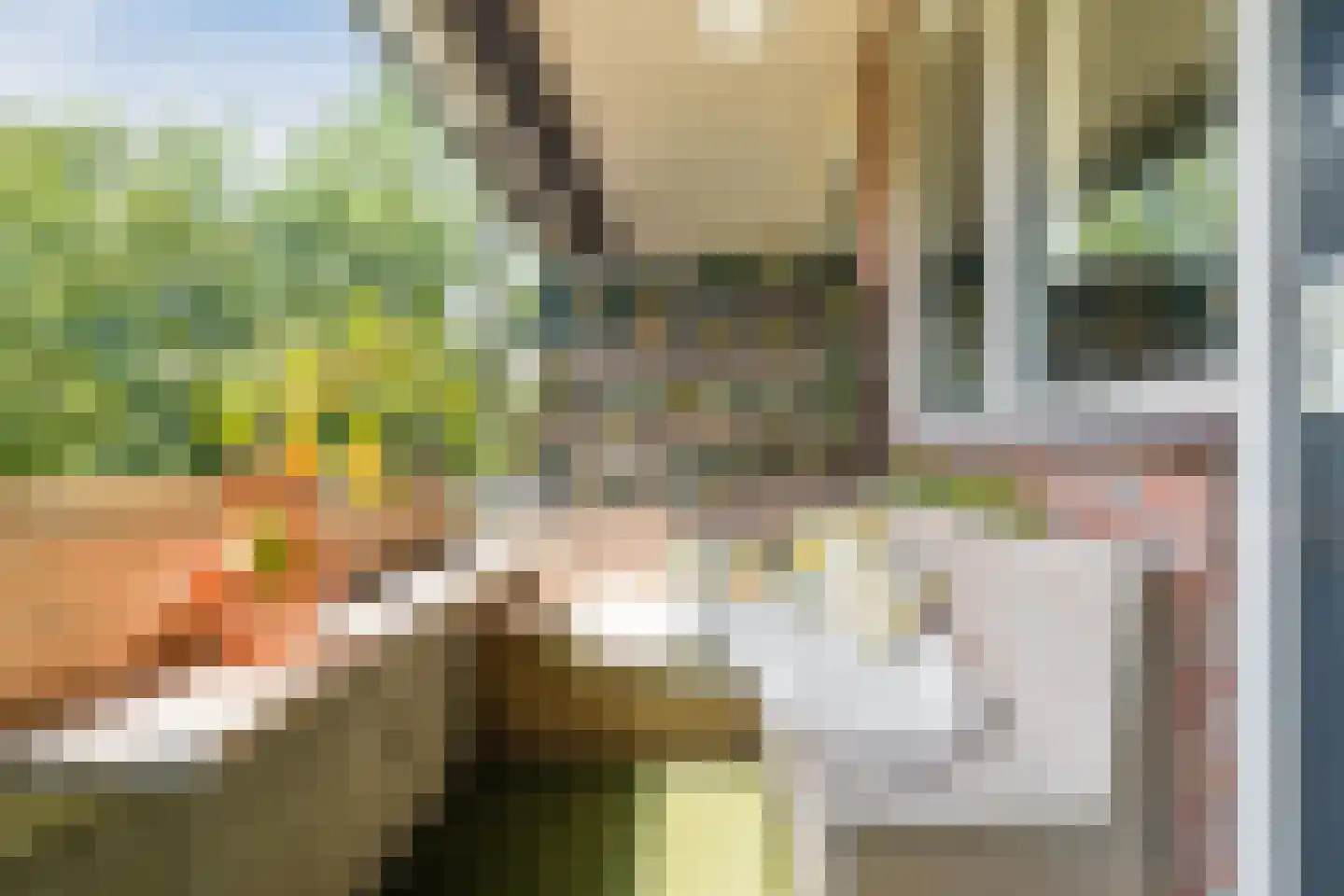 Roelofspad 8 Eindhoven thumbnail 26