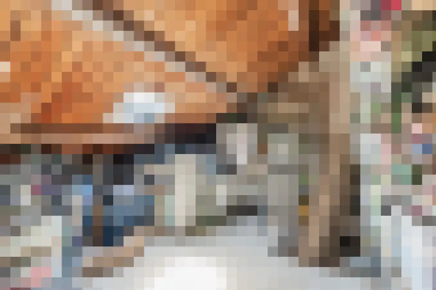 Roelofspad 8 Eindhoven thumbnail 34