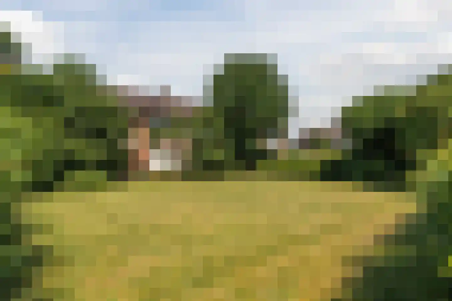 Roelofspad 8 Eindhoven thumbnail 35