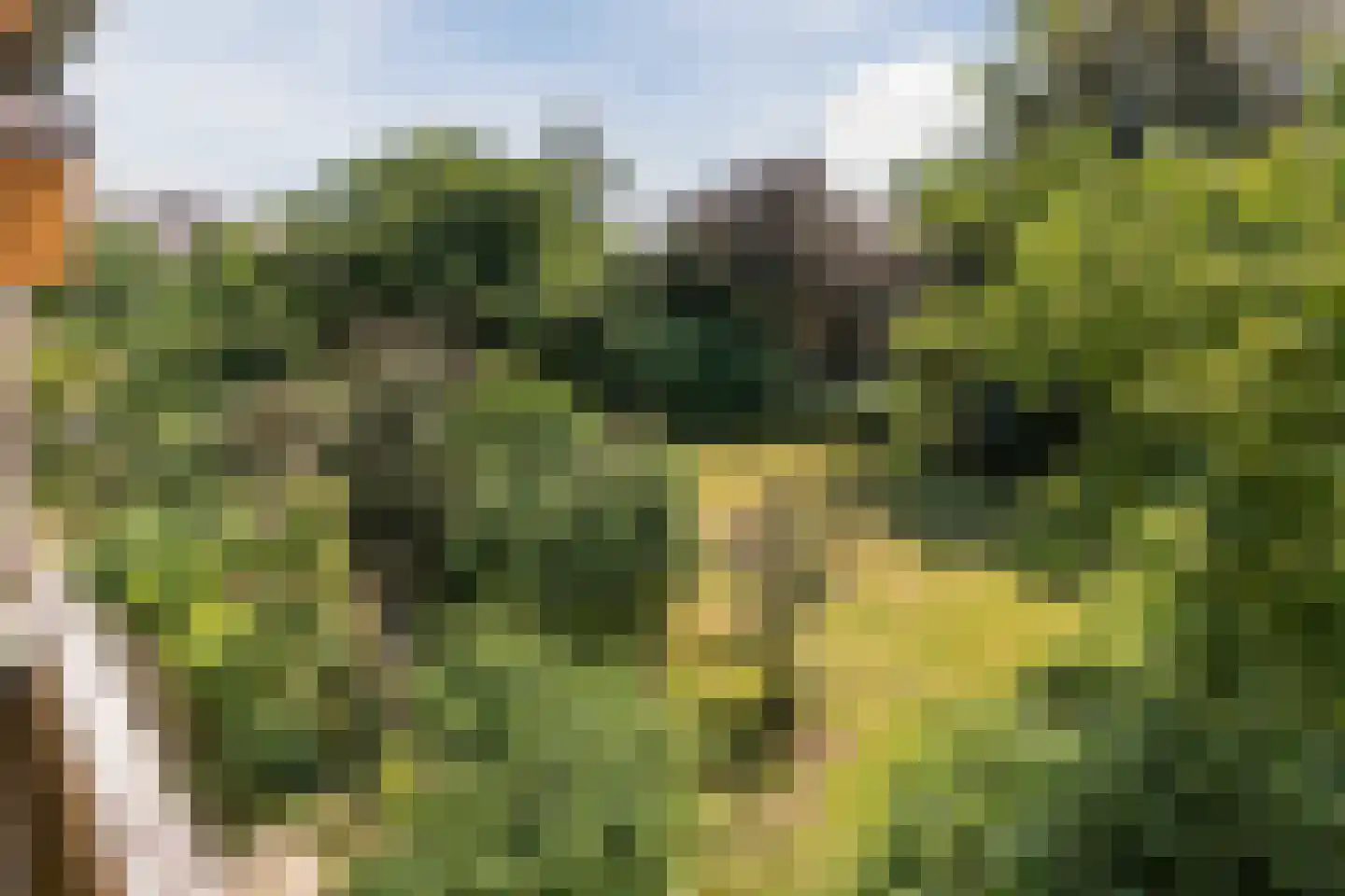 Roelofspad 8 Eindhoven thumbnail 6