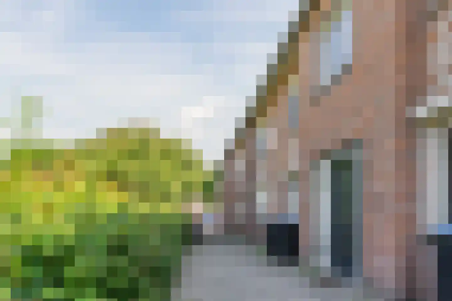 Roelofspad 8 Eindhoven thumbnail 7
