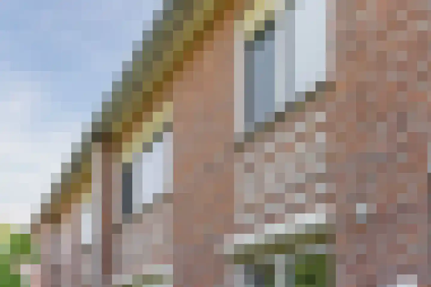 Roelofspad 8 Eindhoven thumbnail 8