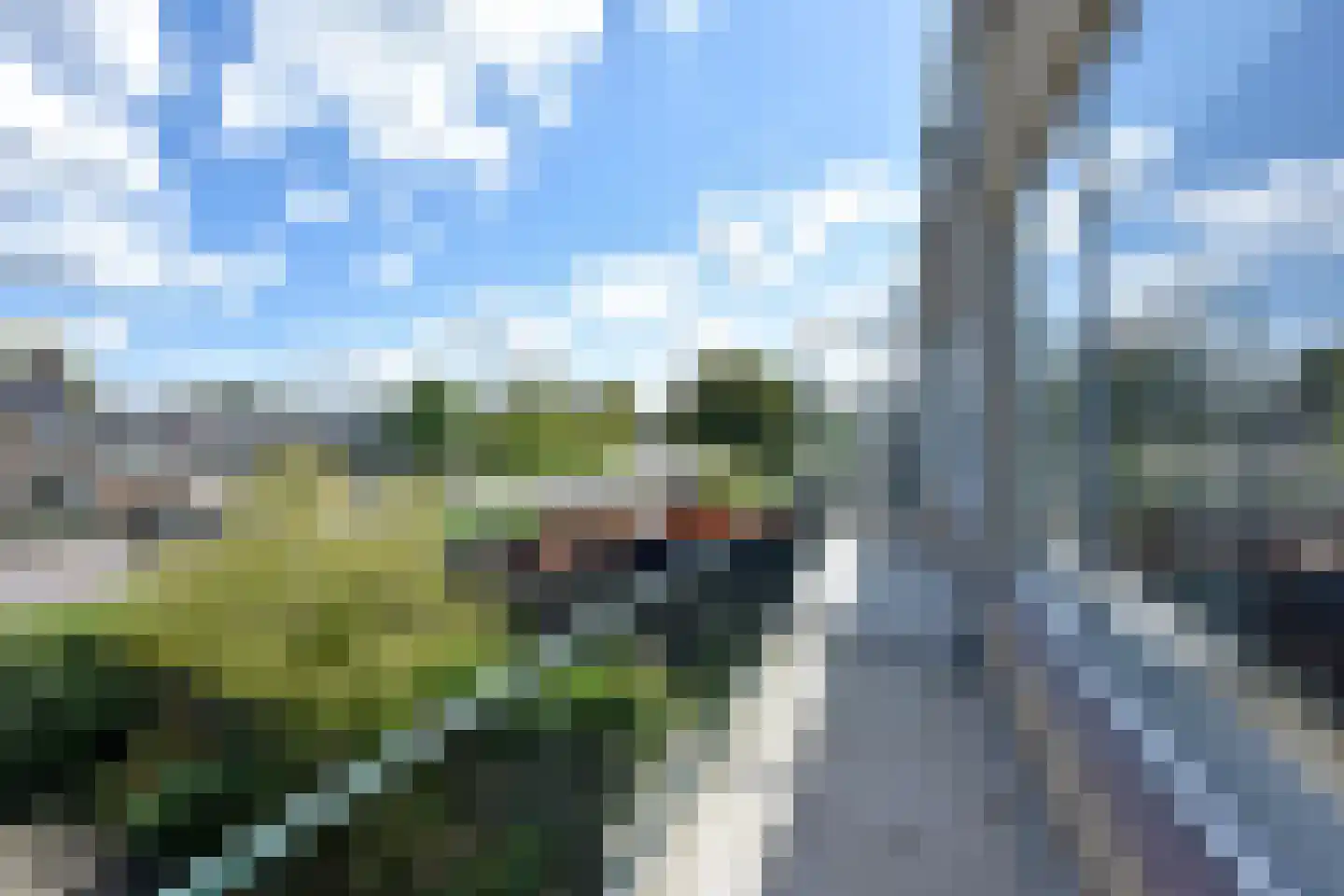 Roelofsstraat 14 Nieuwkoop thumbnail 5