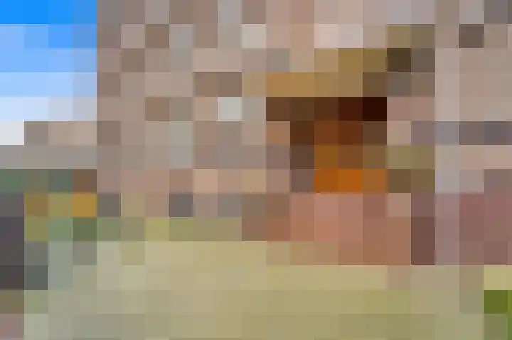 Roelofsstraat 156 in Den Haag