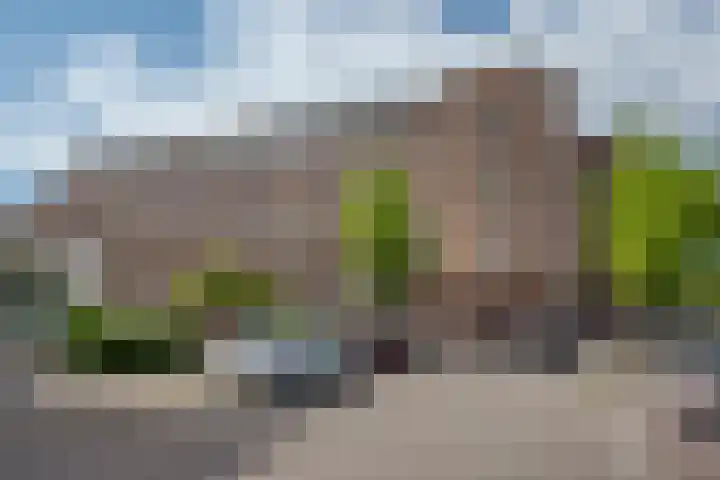 Roelofsstraat 186 in Den Haag