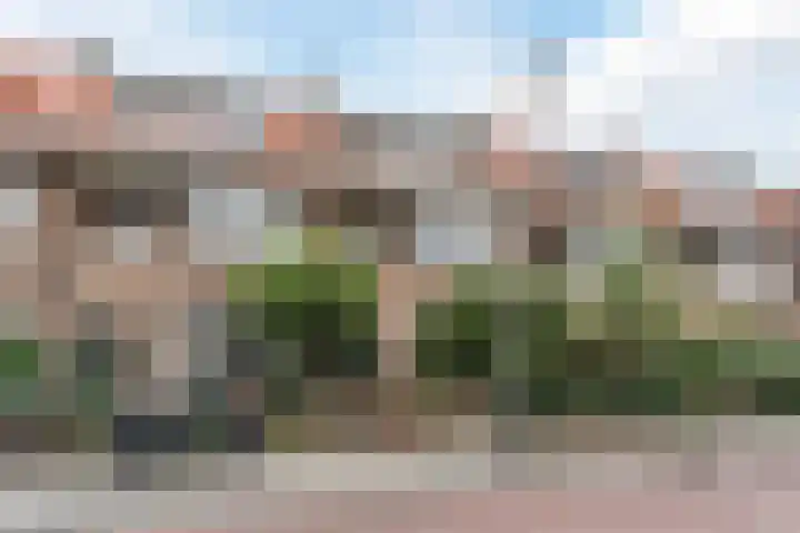 Roelofsstraat 25 Den Haag thumbnail 5
