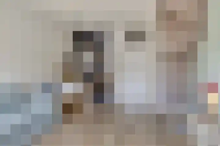 Roelofsstraat 3 Groningen thumbnail 11