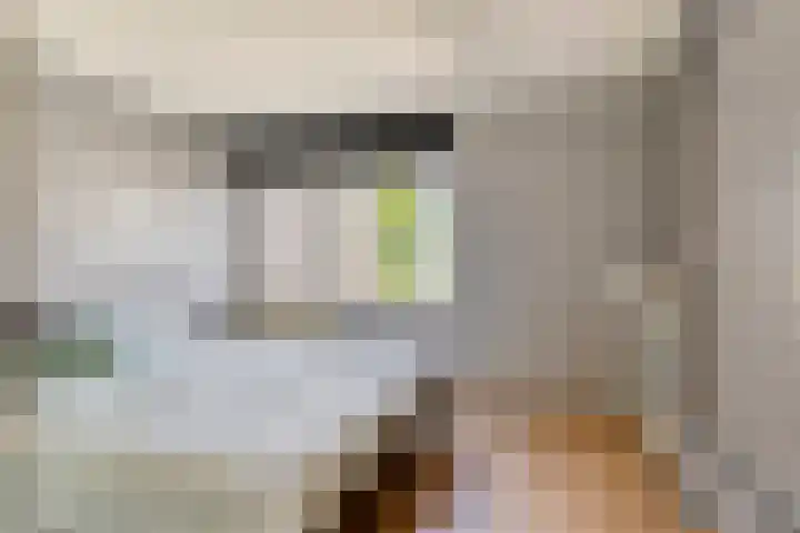 Roelofsstraat 3 Groningen thumbnail 18