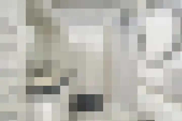 Roelofsstraat 3 Groningen thumbnail 22