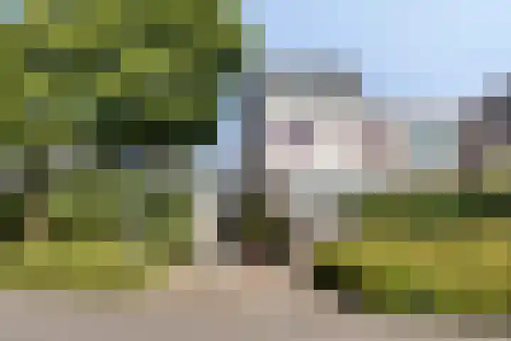 Roelofsstraat 3 Groningen thumbnail 28