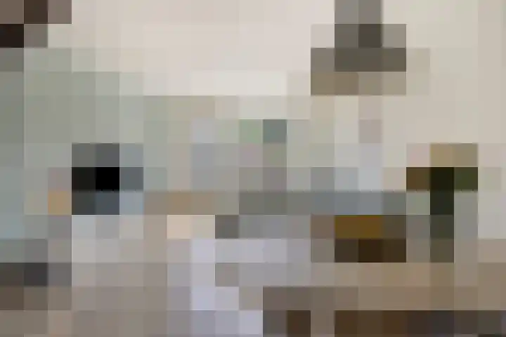 Roelofsstraat 3 Groningen thumbnail 33