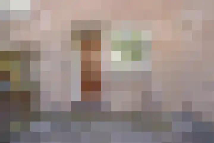 Roelofsstraat 3 Groningen thumbnail 6