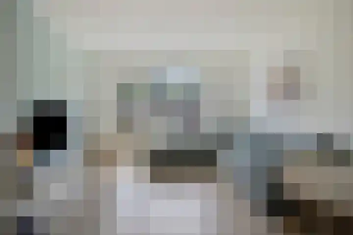 Roelofsstraat 3 Groningen thumbnail 9