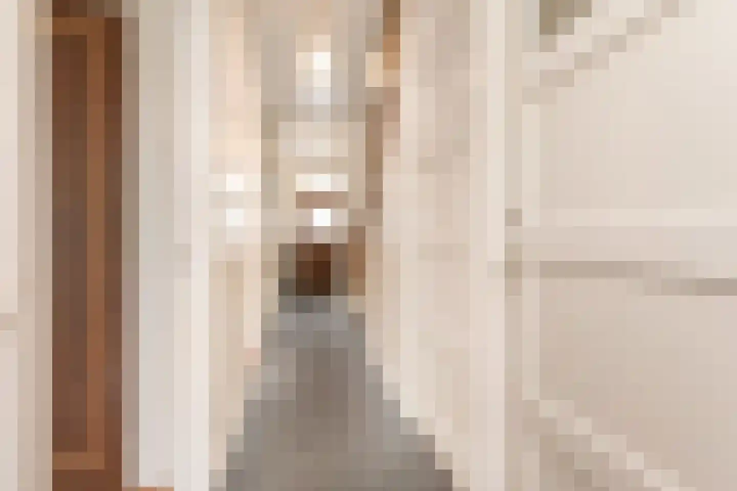 Roelofsstraat 38 Den Haag thumbnail 8