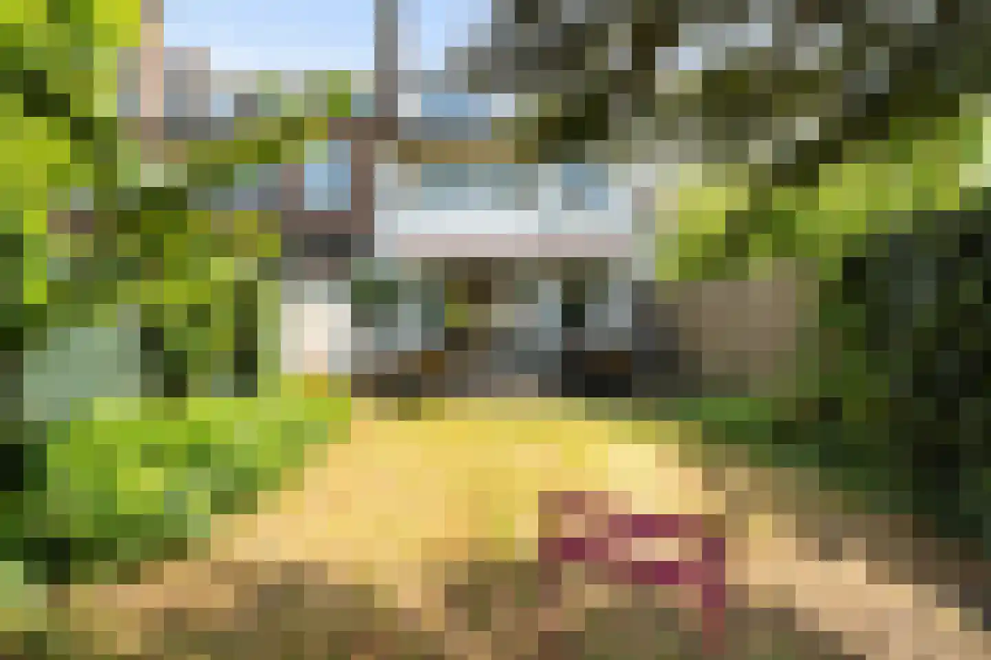 Roelofsstraat 46 Den Haag thumbnail 4