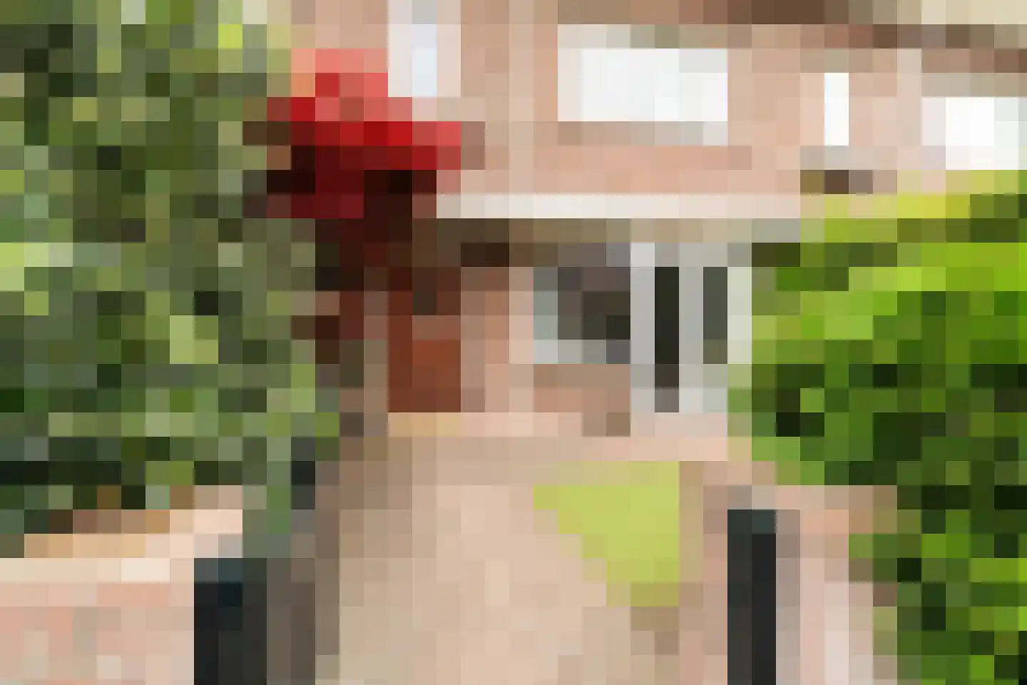 Roelofsstraat 46 Den Haag thumbnail 7