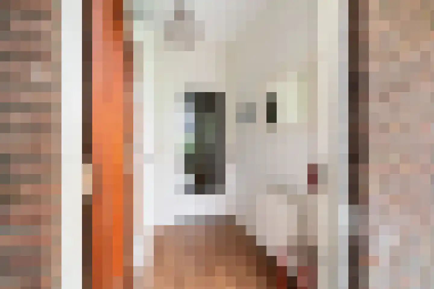 Roelofsstraat 46 Den Haag thumbnail 9