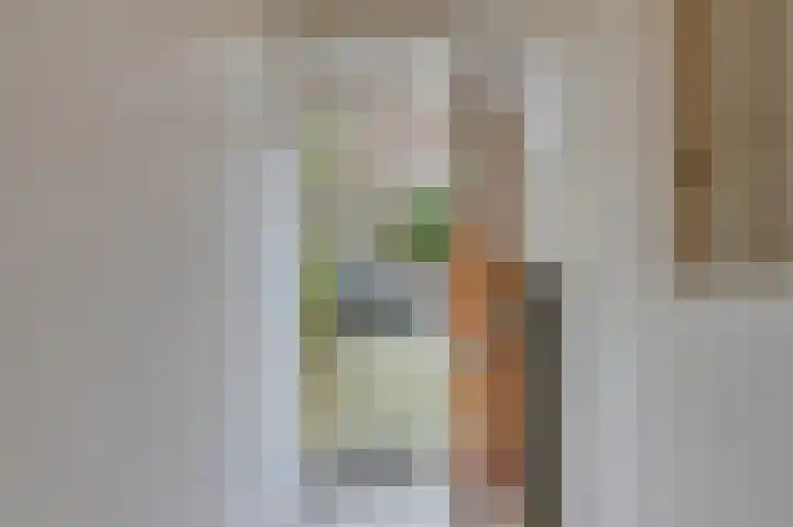 Roelofsstraat 86 Den Haag thumbnail 6