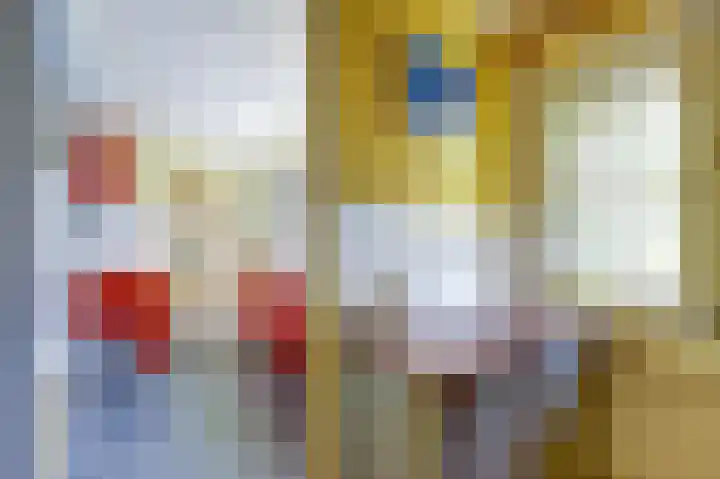 Roelshoekweg 18 Krabbendijke thumbnail 13