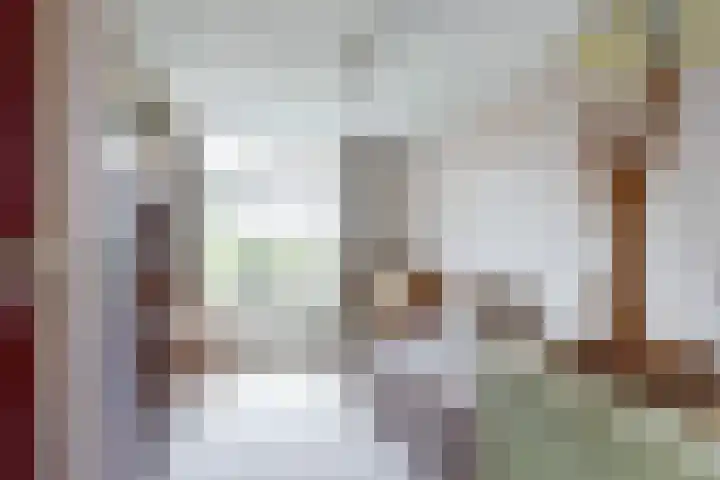 Roelshoekweg 18 Krabbendijke thumbnail 15