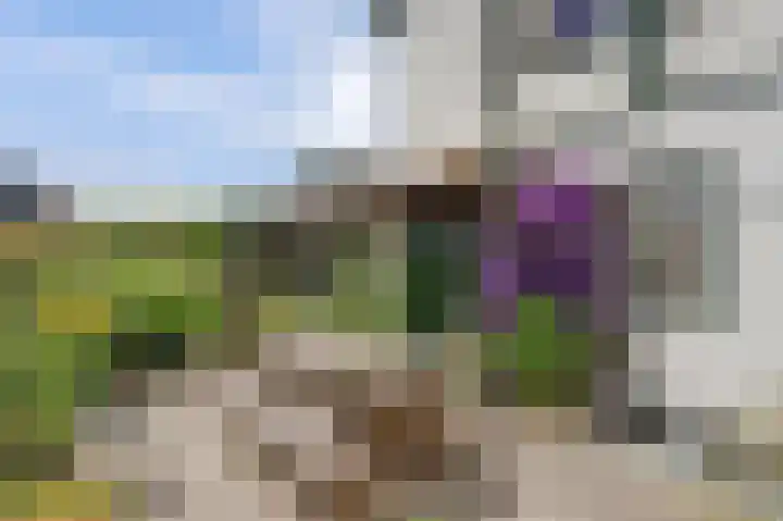 Roelshoekweg 18 Krabbendijke thumbnail 25