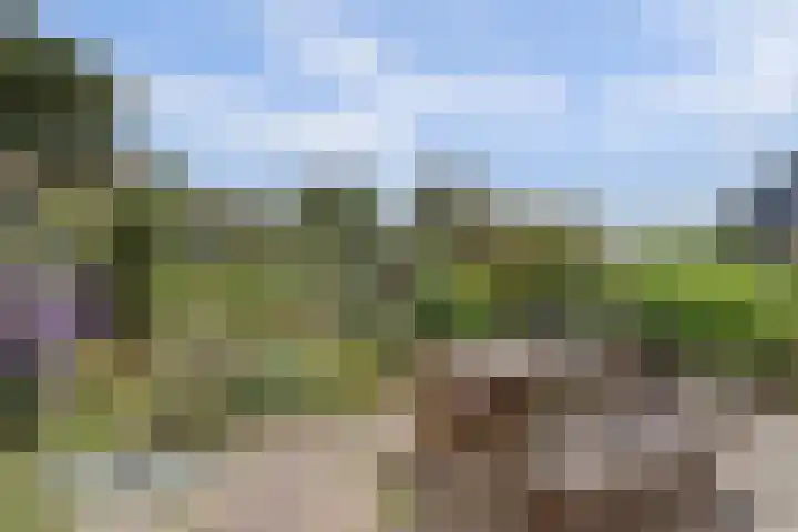 Roelshoekweg 18 Krabbendijke thumbnail 26