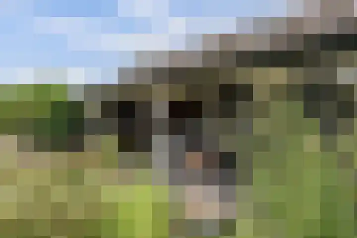 Roelshoekweg 18 Krabbendijke thumbnail 27