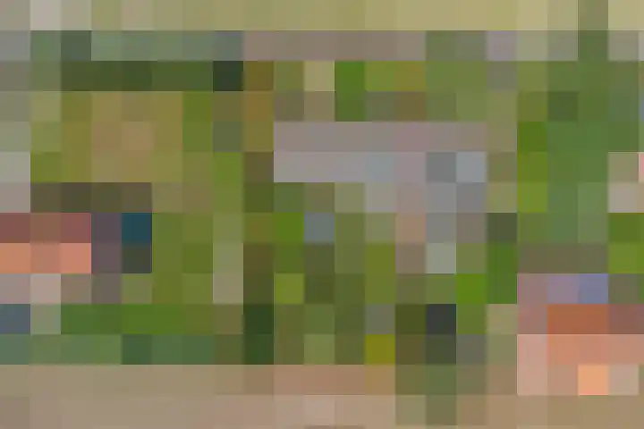 Roelshoekweg 18 Krabbendijke thumbnail 30