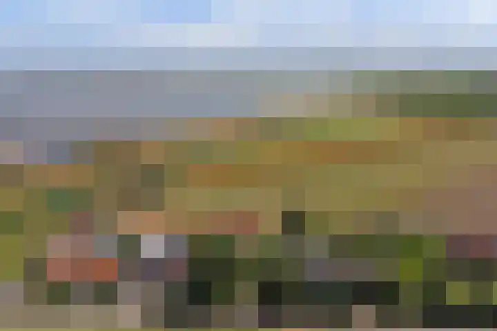 Roelshoekweg 18 Krabbendijke thumbnail 31