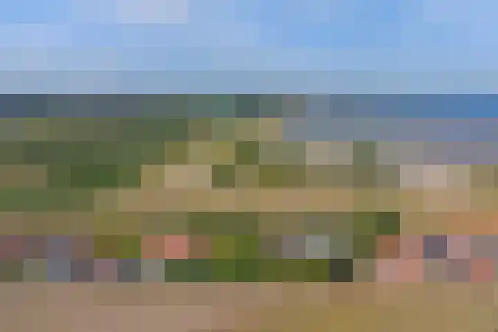 Roelshoekweg 18 Krabbendijke thumbnail 32