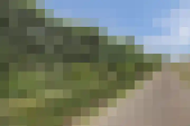 Roelshoekweg 18 Krabbendijke thumbnail 4