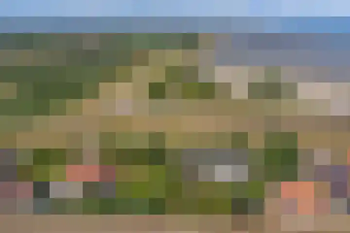 Roelshoekweg 18 Krabbendijke thumbnail 40