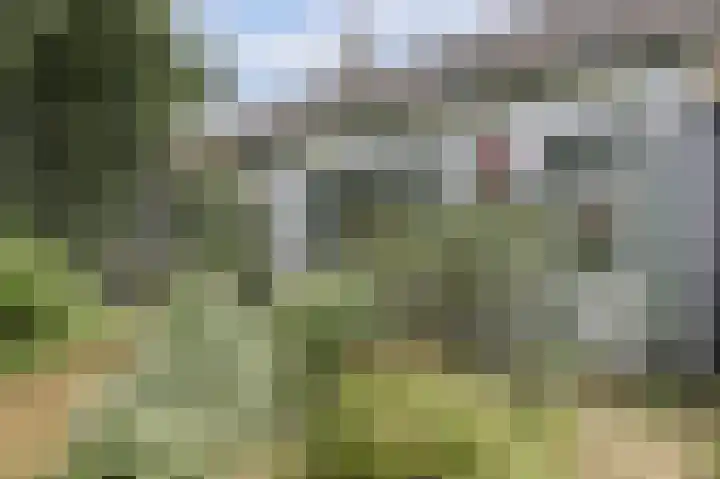 Roelshoekweg 18 Krabbendijke thumbnail 5