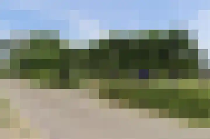 Roelshoekweg 18 Krabbendijke thumbnail 6