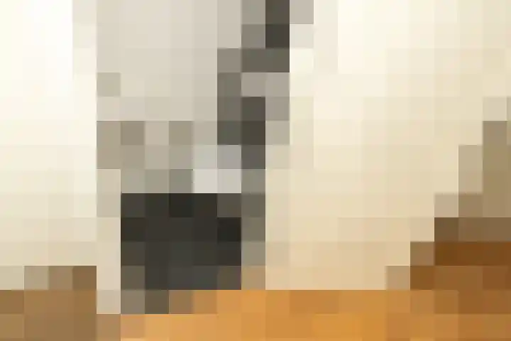 Roelsplantsoen 1 Wateringen thumbnail 14