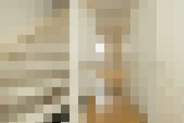 Roelsplantsoen 1 Wateringen thumbnail 15